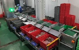 和记娱乐官网app助力兰州首个“中央厨房”分拣中心落成，赋能食品分拣新模式